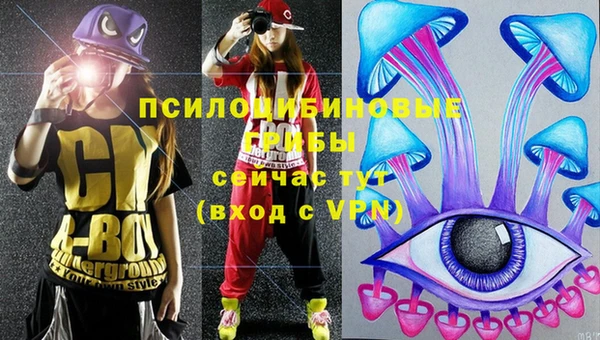 прущая мука Алзамай
