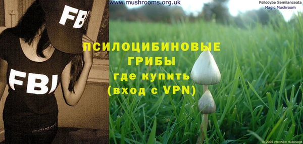 прущий лед Алексин
