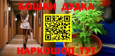 шишки Камышлов