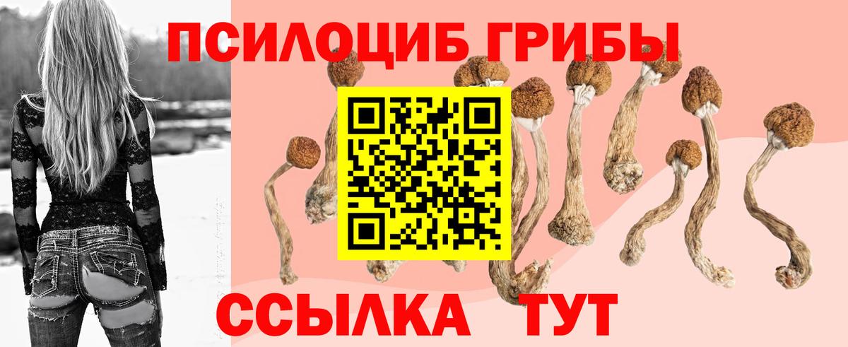 Галлюциногенные грибы мицелий  Вход с VPN  Псилоцибиновые грибы Magic Shrooms  Джанкой 